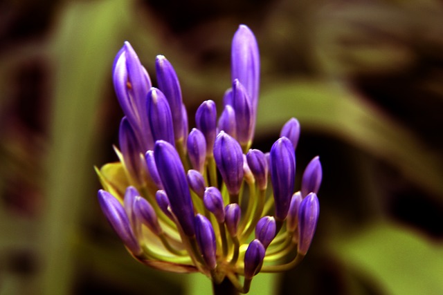 仅用一场比 仅用一场比