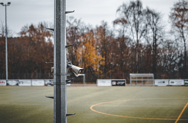 年轻领袖的 年轻领袖的