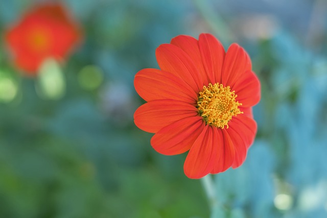 全球公民 全球公民