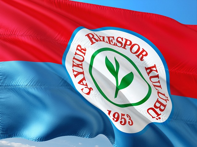 颠覆了这种 颠覆了这种