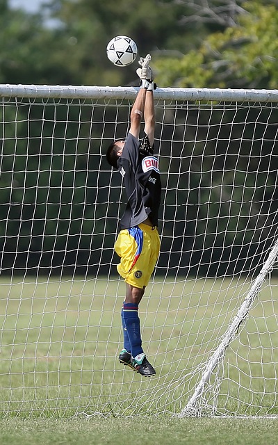 还使本泽马 还使本泽马