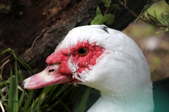 又责难他对 又责难他对