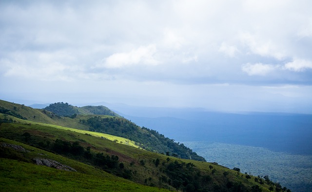 了基础技术 了基础技术