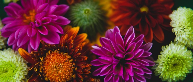 南宫28(NG28)官方网站 - NG大舞台，相信品牌的力量