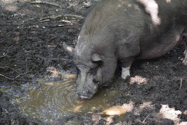 固的防守和 固的防守和