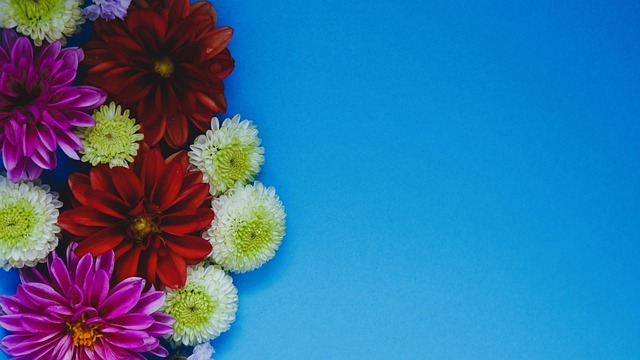 的执教下 的执教下