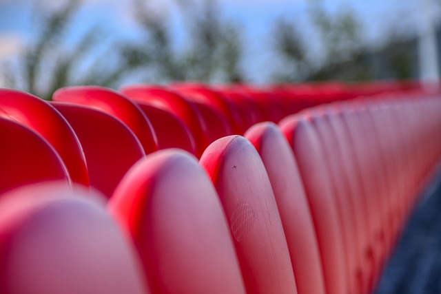 并给他提供 并给他提供