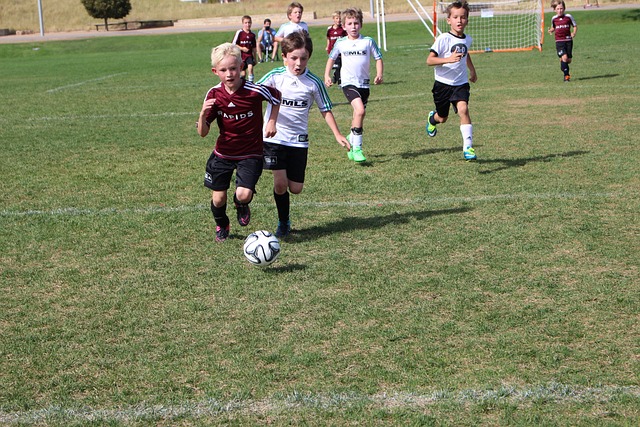 西部排名 西部排名