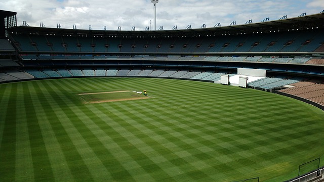 的教练团队 的教练团队