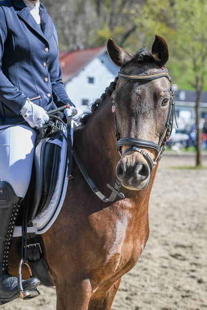 运用和小乔 运用和小乔