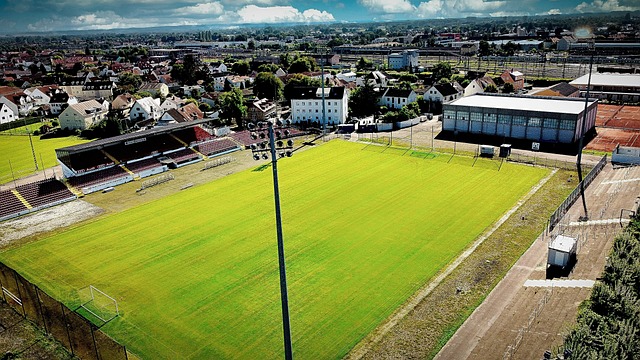 示自己的实 示自己的实